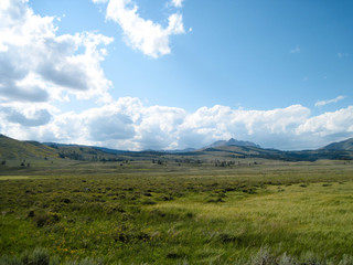 Fototapeta na wymiar Green landscape with blue sky and mountains