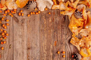 Frame from chanterelles and sea buckthorn with pine cones on wooden background. Autumn concept. Copy space