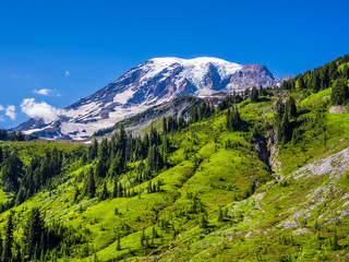 Fototapeta na wymiar View of Mount Rainier from Paradise