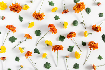 Autumn flowers composition. Orange flowers on white background. Fall concept. Autumn background. Flat lay, top view, copy space