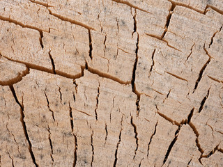 Holz Oberfläche mit Rissen