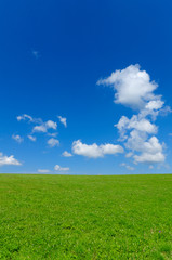 Obraz premium green grass field with bright blue sky and some clouds