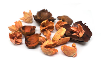 Dry exotic flowers and plant parts isolated 