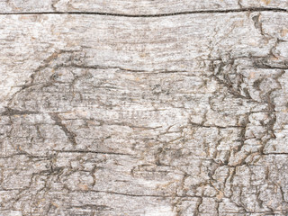 Holz Oberfläche mit Riss