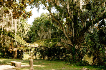 Landscape in New Orleans