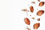 Autumn composition. Dried leaves, flowers, rowan berries on white background. Autumn, fall, thanksgiving day concept. Flat lay, top view, copy space