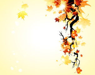 Autumn yellow background