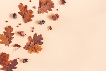 Autumn composition. Frame made of oak leaves, flowers, acorns on beige background. Autumn, fall...