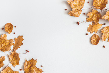 Autumn composition. Golden maple leaves on gray background. Autumn, fall concept. Flat lay, top view, copy space