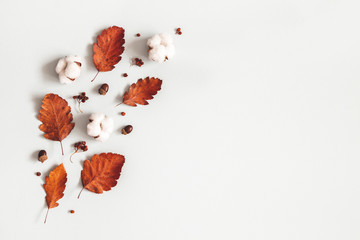 Autumn composition. Dried leaves, flowers, rowan berries on gray background. Autumn, fall, thanksgiving day concept. Flat lay, top view, copy space