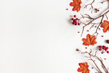 Autumn composition. Maple tree leaves, branches on gray background. Autumn, fall, thanksgiving day concept. Flat lay, top view, copy space