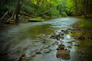 Obraz premium Going with the flow