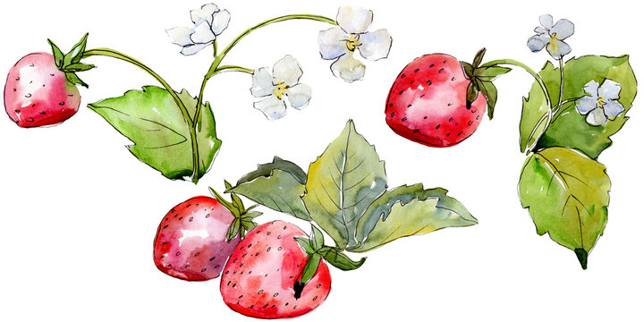 Strawberry healthy food in a watercolor style isolated. Watercolour background set. Isolated berry illustration element.