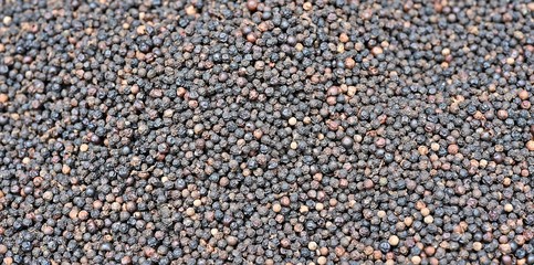 Organic Black pepper as background image