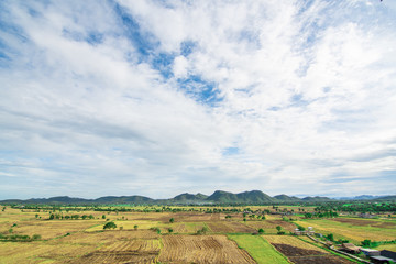 Fototapeta na wymiar Landscape of rice field,mountain and sky.