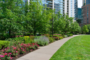 Path with Flowers and Trees with Skyscrapers at the Lake Shore East Park in Chicago