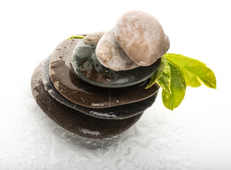 wet stones and green leaves isolated on white.