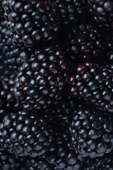 Fresh ripe blackberries