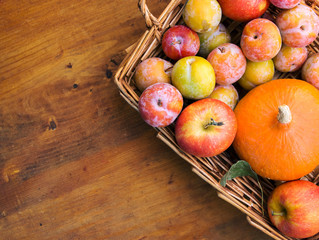 Colorful freshly picked plums Mirabelles red yellow green apples pumpkin in wicker basket on wood garden table. Autumn fall harvest abundance local bio produce Thanksgiving concept
