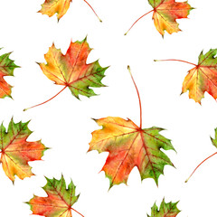 Fototapeta premium Watercolor hand drawn autumn leaf isolated seamless pattern.