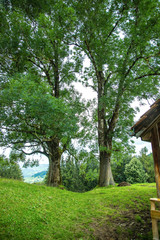 Obraz premium Landschaften 