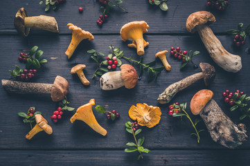 Pattern wild forest mushrooms and berries on a dark wooden background. Top view