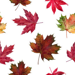 Watercolor hand drawn autumn leaf isolated seamless pattern.