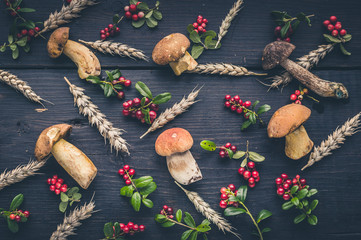 Pattern wild porcini mushrooms, wild berries and wheat on a dark wooden background. Top view