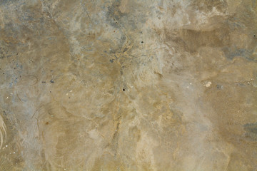 Natural stone backgrounds on the wall and sidewalk.