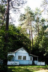 Old wooden house in the forest