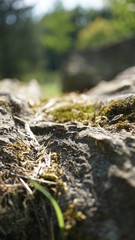 Natur