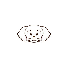 Maltese icon. One of the dog breeds hand draw icon