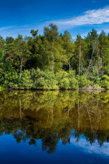 Beautiful wild forest lake in summer sunny day