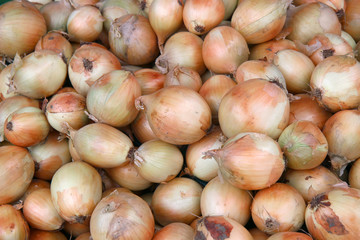 fresh onions in the market