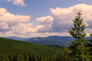Summer landscape in the Carpathian mountains. View of the mountain peak Hoverla.