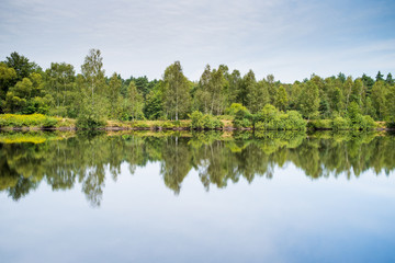 Fototapeta premium Beautiful wild forest lake in summer sunny day