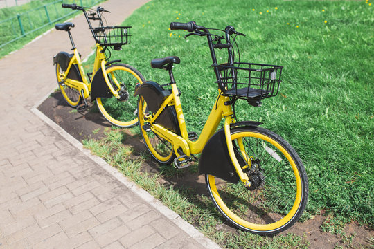 Yellow rental bikes - a popular environmental transport