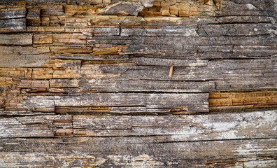 Old wood texture with cracks. Background or Texture