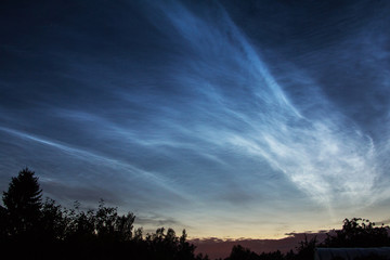 Blue Noctilucent clouds in the dark night sky..Silhouettes of trees on a background of silvery night clouds.