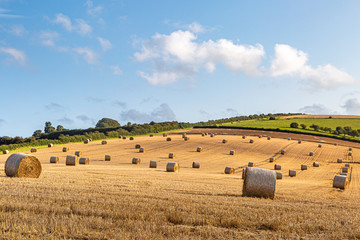 An idyllic countryside view, with hay bales in a field in the summer sunshine