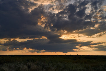 Naklejka na ściany i meble sunset in the steppe, rural landscape