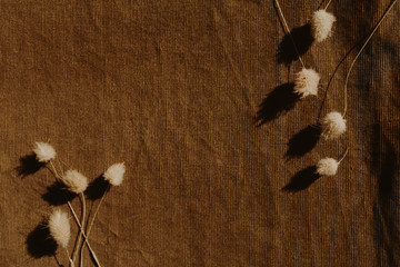 Dry flowers on dark brown background. Flat lay, top view minimal neutral floral composition. Copy space mock up template.