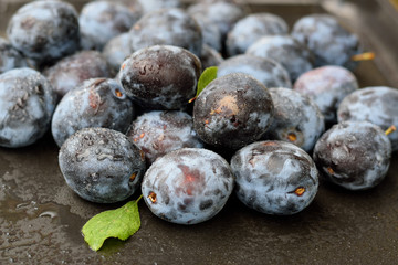 Macro photo of plums fruit.