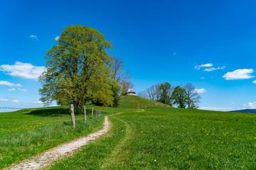 Feldweg zum Frauenbergerl im oberbayerischen Sufferloh