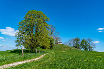 Feldweg zum Frauenbergerl im bayerischen Sufferloh