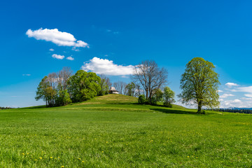 Sufferloher Frauenbergerl im Sommer