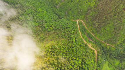 Aerial view of tropical rainforest covered by cloud and fog.