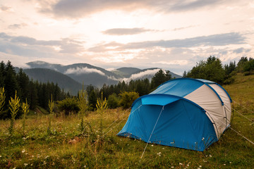 Tent in forest meadow.