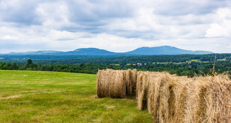 hay bales lined up on a field  with  landscape of Quebec Canadian countryside 
