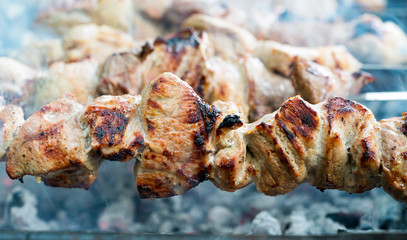 shish kebab is fried on Mongal